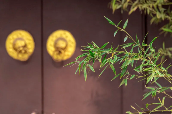 国画四君子是指哪四样