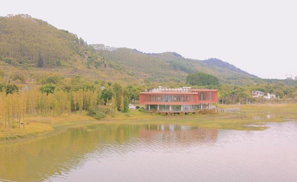 广西梧州旅游攻略必去景点攻略