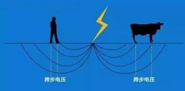雷电为什么会劈人的原因