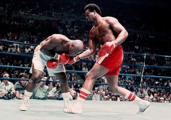 世界十大顶级拳王排名