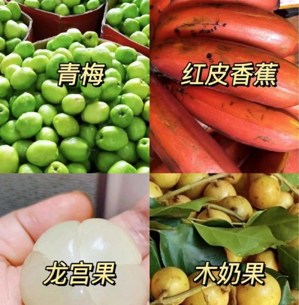 云南西双版纳热带水果推荐