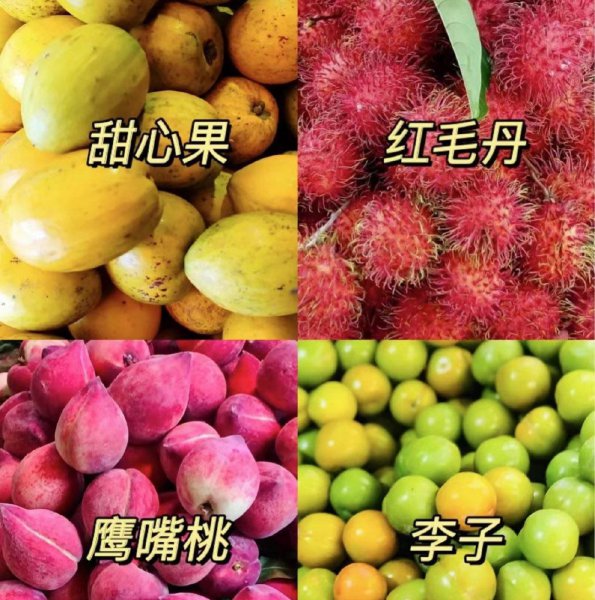 云南西双版纳热带水果推荐