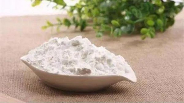 木薯是什么植物图片