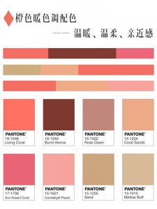 橘色和什么颜色搭配好看图片 橙色搭配暖色调温暖又温柔