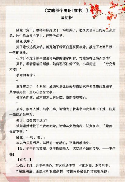 快穿攻略小说推荐完结文笔好