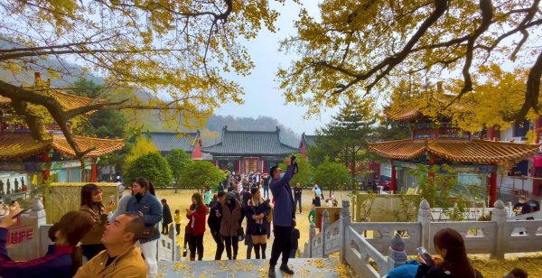 哪里的寺庙最灵验