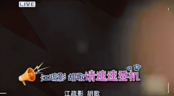 江疏影个人资料图片简介