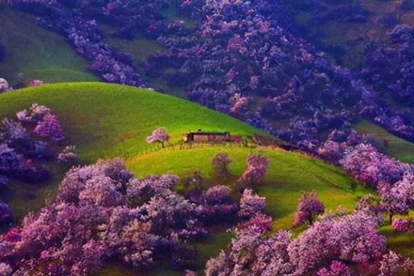 (X-J)算西北地区吗