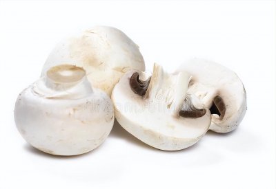 白蘑菇里面有一圈黑色绒毛能吃吗 白蘑菇里面有黑色咋办
