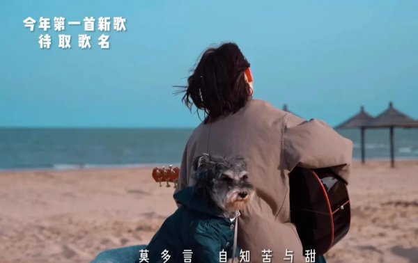 程响最火的几首歌