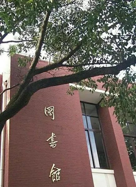 上海交通大学跟复旦大学哪个好排名更靠前