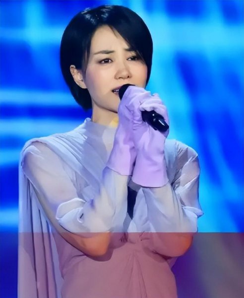 华语乐坛十大女歌手