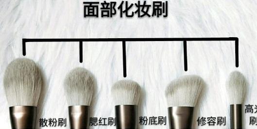 化妆刷的介绍与使用图片