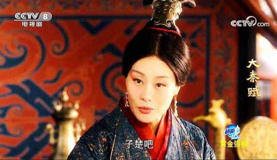 华阳太后和芈月是什么关系 芈月和中华阳夫人是同一个人吗