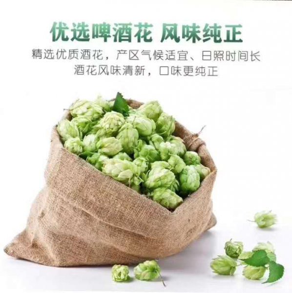 工业啤酒和精酿啤酒怎么区分