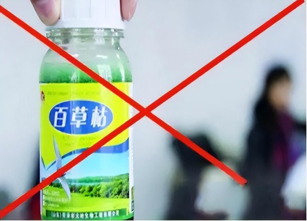 百草枯的主要成分是什么