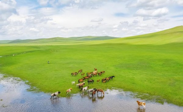 呼伦贝尔什么时候去旅游最好