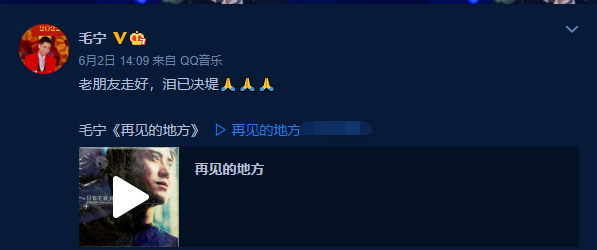 音乐人陈道明简历