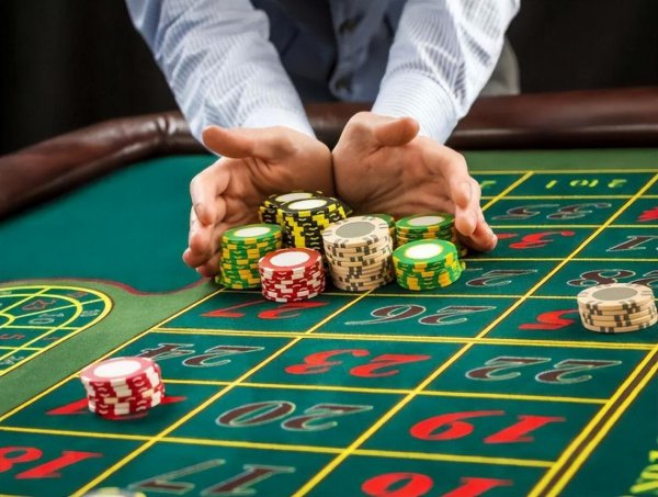 秦奋家庭背景真实身份