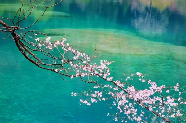 关于描写春水的诗句