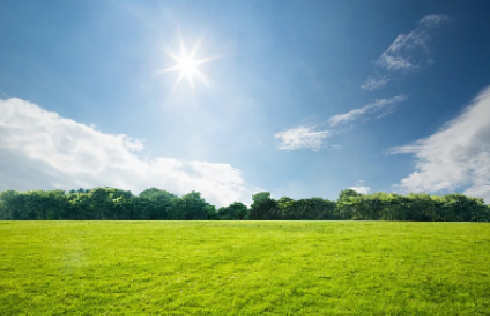 触景生情的诗句赏析