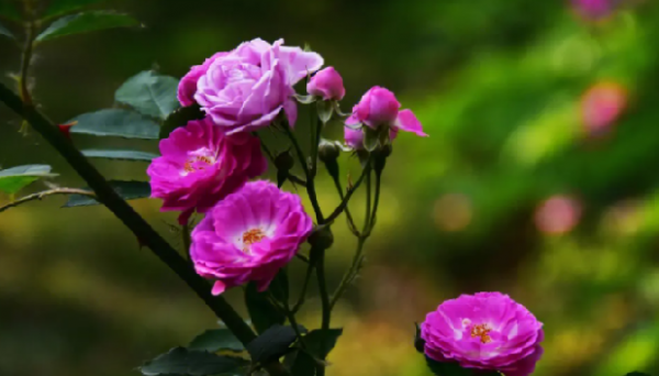 触景生情的诗句赏析