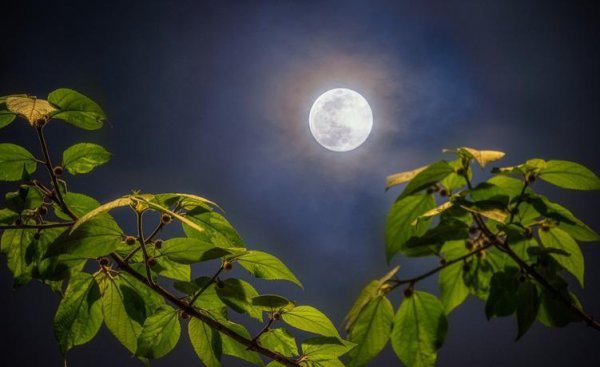 触景生情的诗句赏析