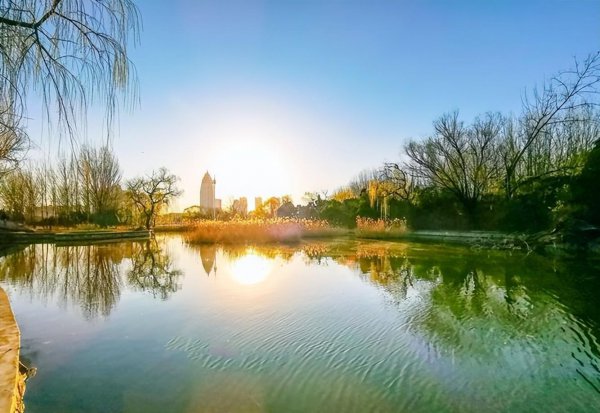 触景生情的诗句赏析