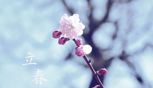 等闲识得东风面什么意思翻译