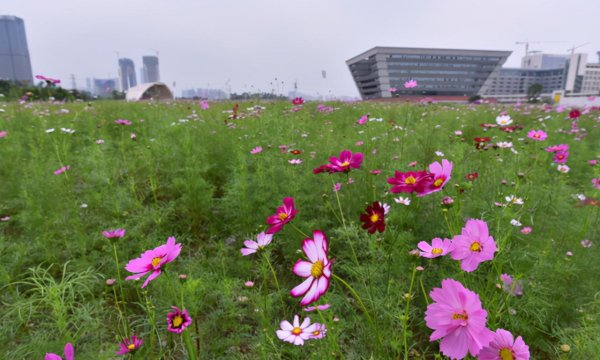 广东财经大学是几本院校