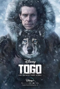 狗拉雪橇的电影剧情介绍 讲述一个传奇雪橇狗的故事