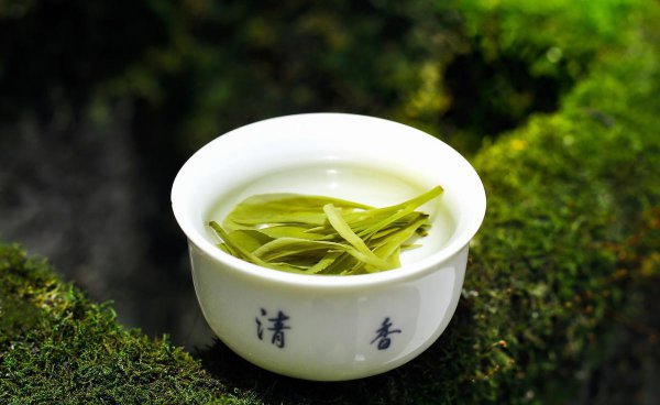绿茶用什么茶具泡最好喝