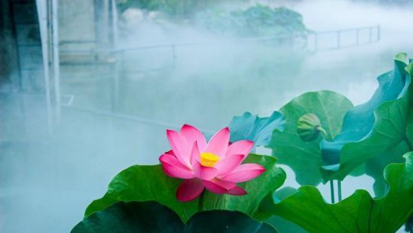 何为君子之道解释