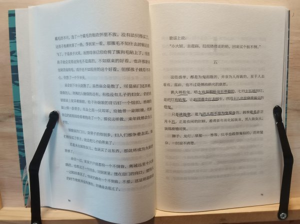 萧红呼兰河传简介