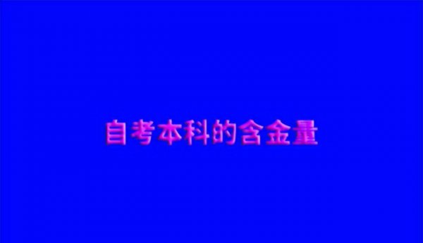 自考本科（W-P）好不好