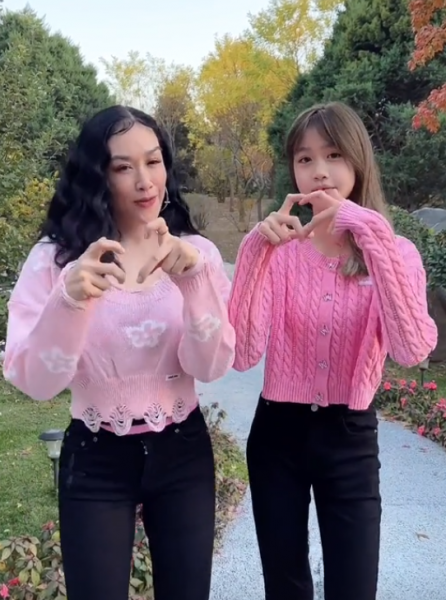 钟丽缇女儿考拉原名叫什么