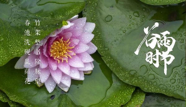 关于谷雨的古诗词