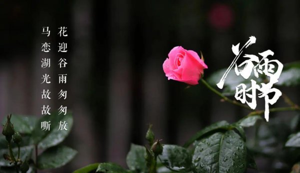 关于谷雨的古诗词