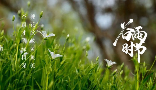 关于谷雨的古诗词