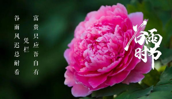 关于谷雨的古诗词