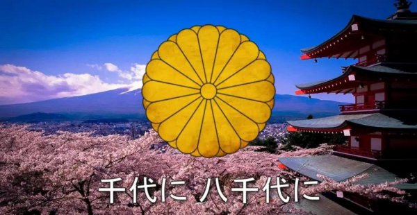 菊花王朝是哪个国家