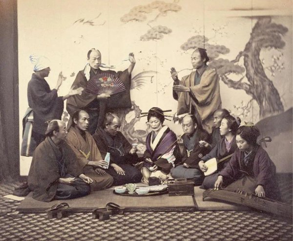 菊花王朝是哪个国家