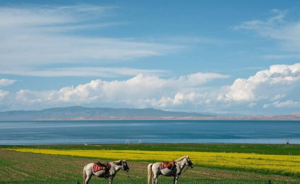 旅游必去的10个地方排名