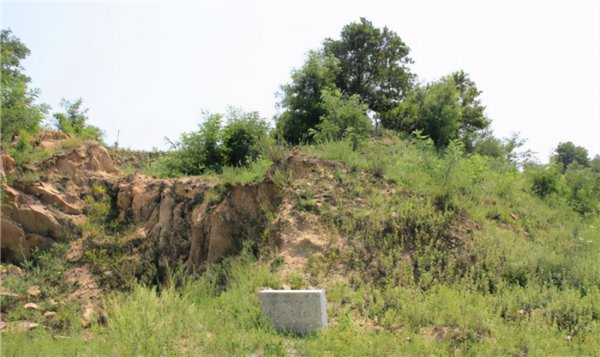 传奇将领刘荣简介