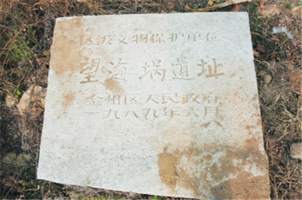 传奇将领刘荣简介