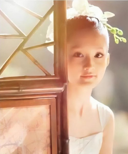 李沁个人简历资料