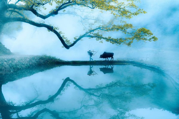 围炉夜话经典名句及释义