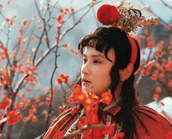 贾宝玉梦里去的仙境叫什么名字