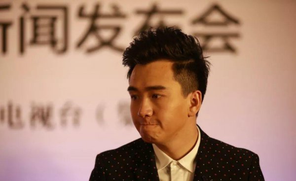 翟天临事件怎么回事