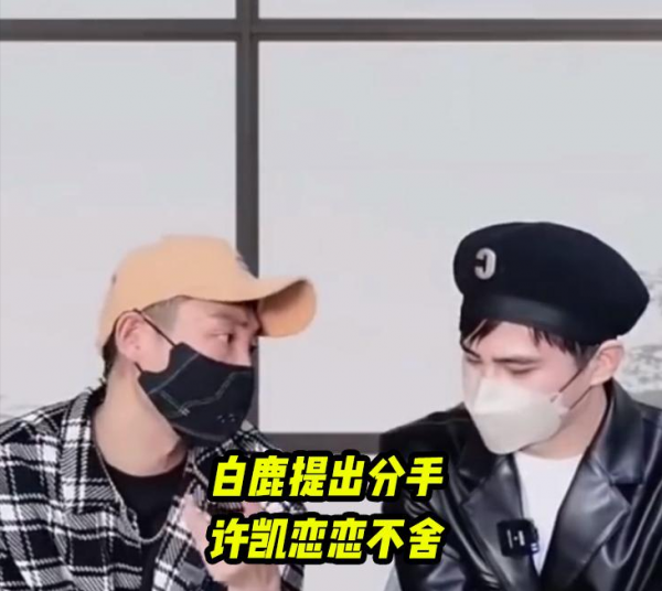 白鹿和许凯是情侣吗